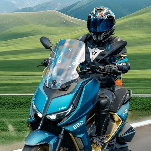 Rong 250 Free Inspection Tour Now Open!